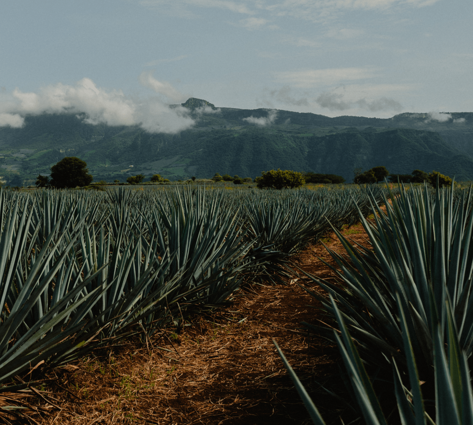 img-proceso1-CasaValleAmate-min