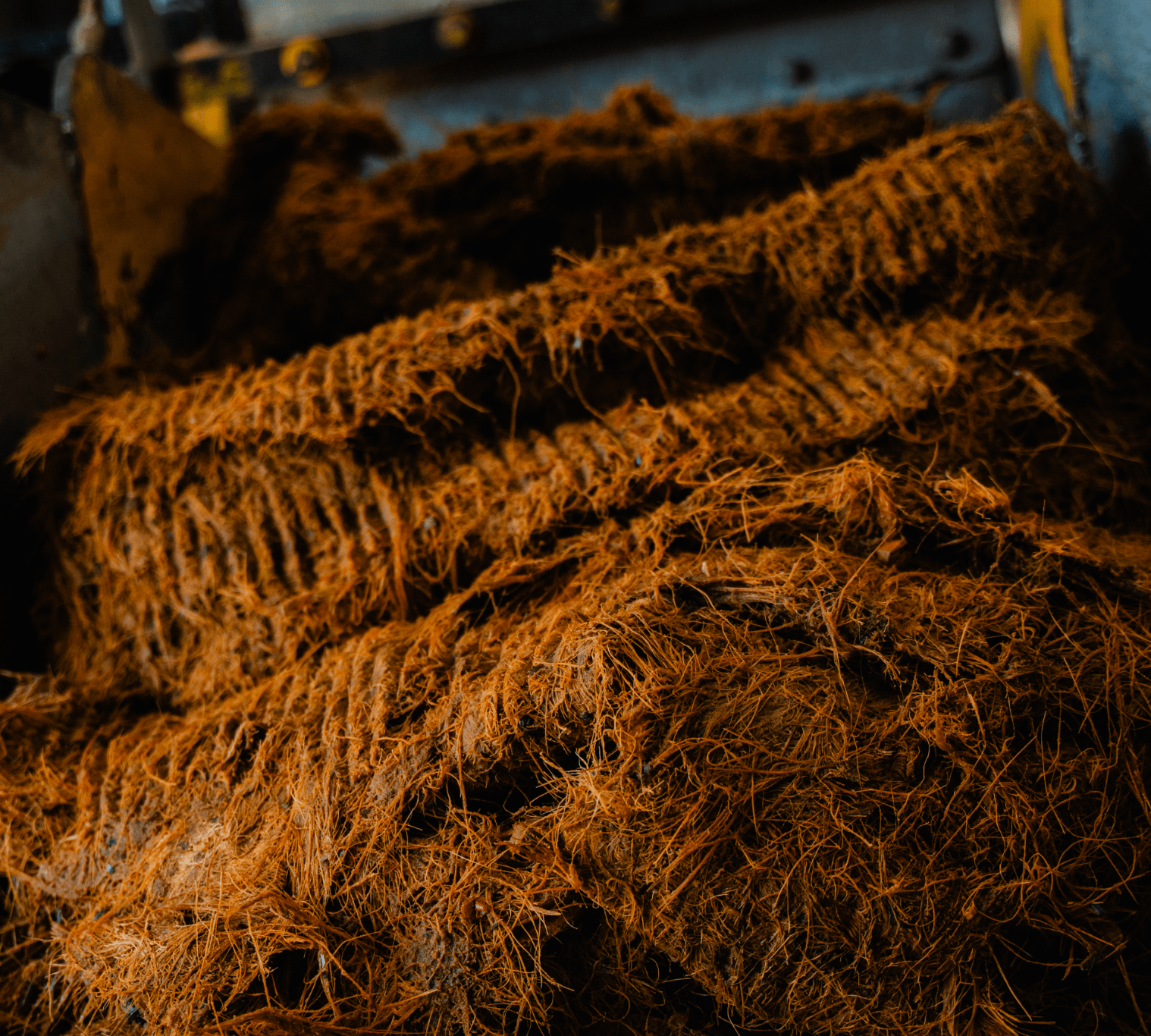 img-proceso4-CasaValleAmate-min